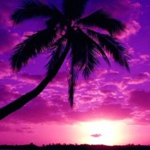 Meet your Posher, Faith